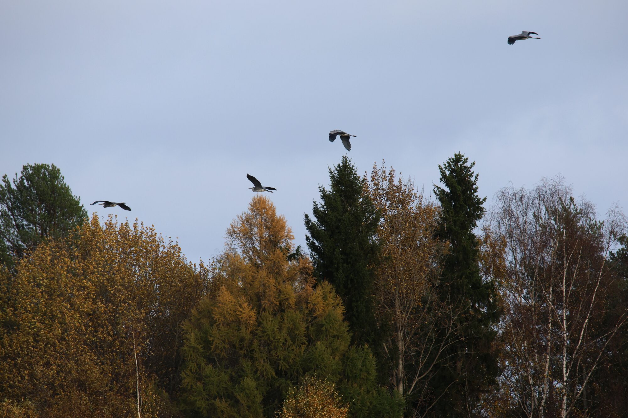 Valokuvaaja: Jaana Saarelainen