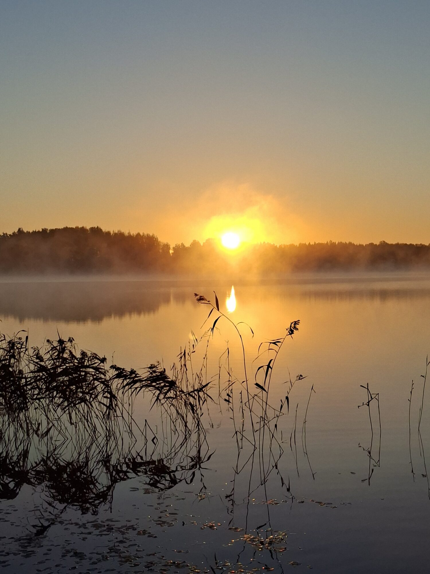 Valokuvaaja: Raisa Vuokola