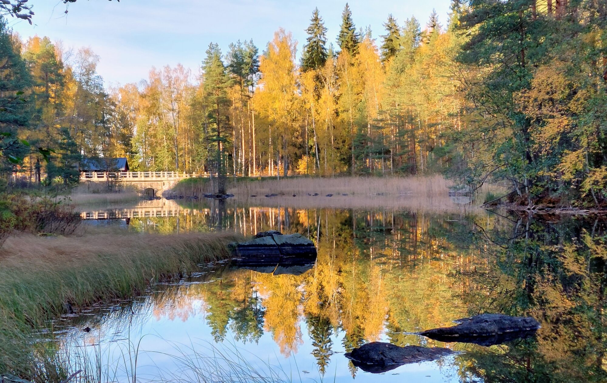 Valokuvaaja: Tarja Naukkarinen