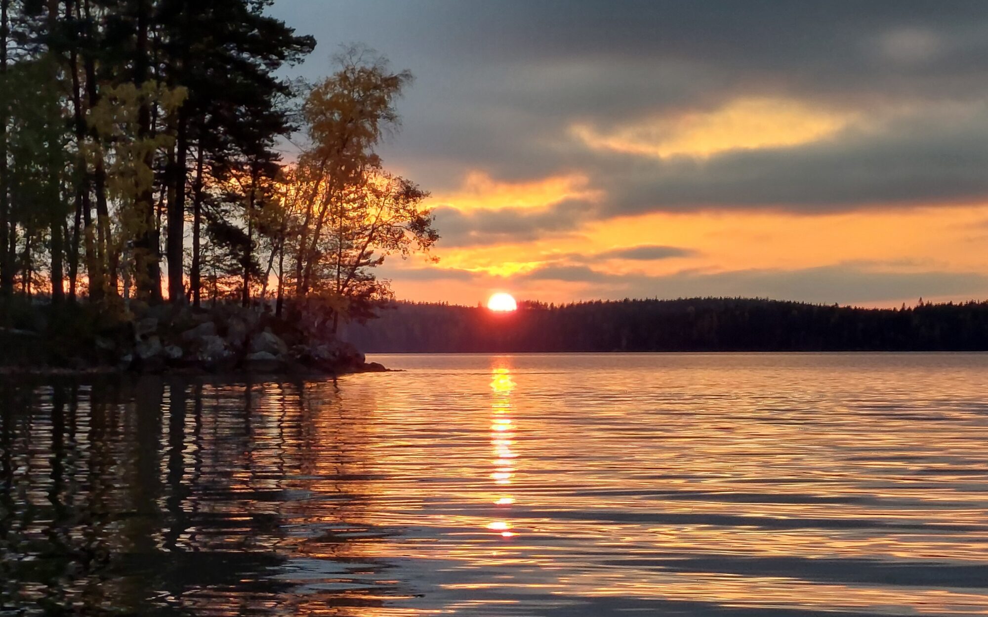 Valokuvaaja: Tarja Naukkarinen