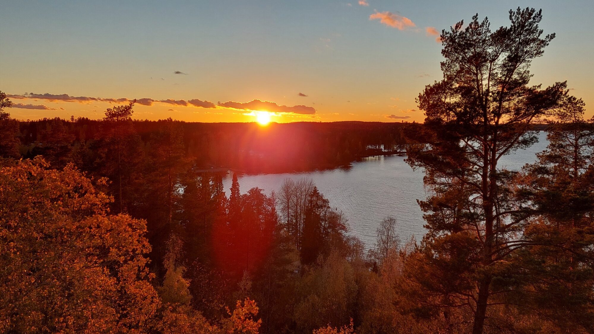 Valokuvaaja: Tarja Naukkarinen