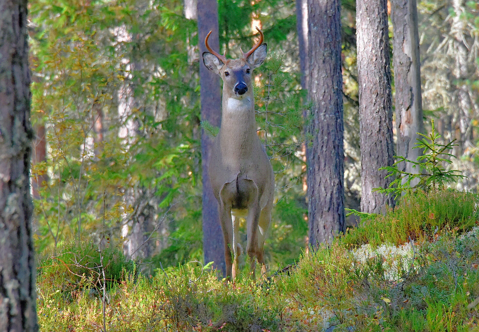 Valokuvaaja: Reijo Juurinen