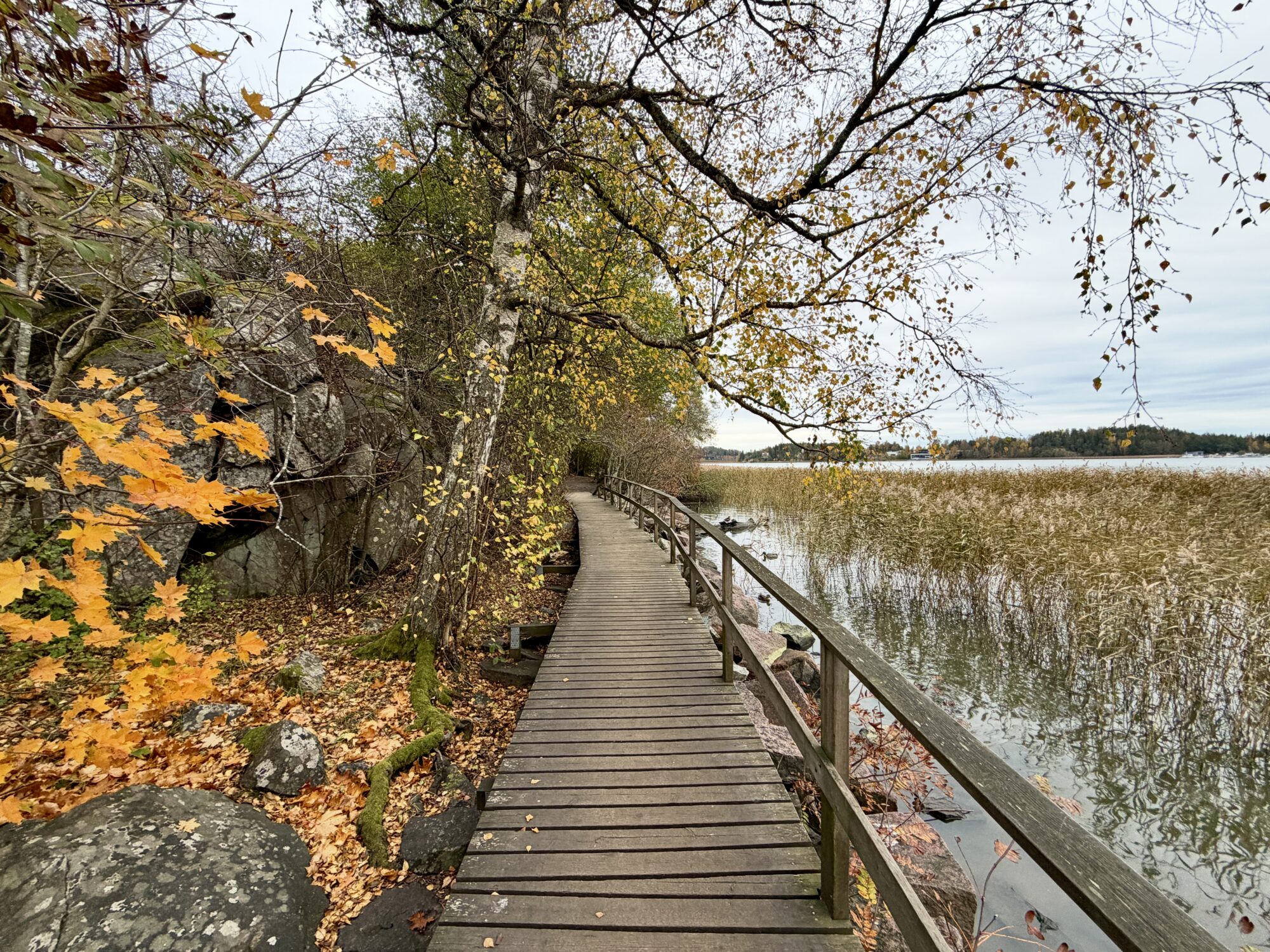 Valokuvaaja: Juhani Peltonen