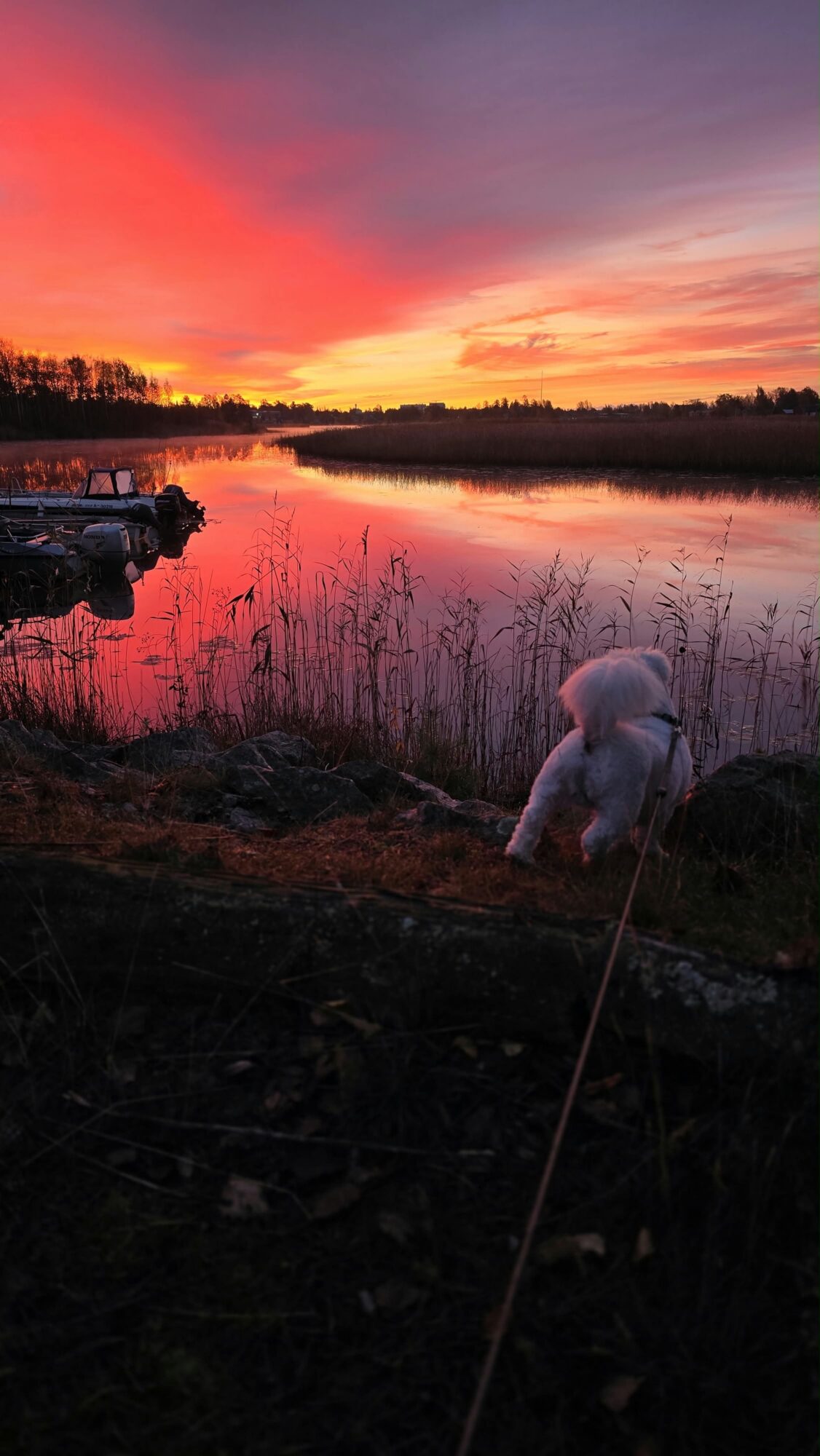Valokuvaaja: Pekka Vuorela